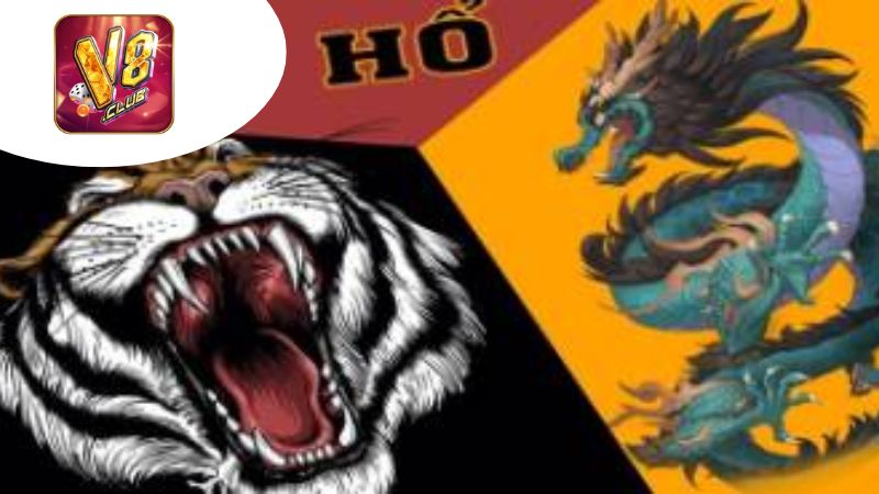 Cách Chơi Rồng Hổ Hiệu Quả